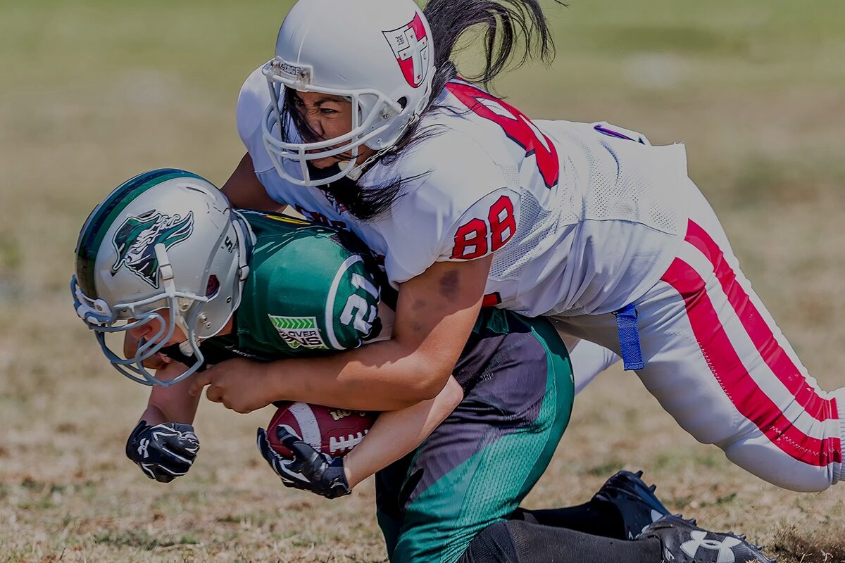 Dictum Felis sapien eget